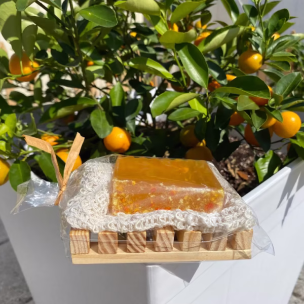 Ginger & Orange Artisan Soap
