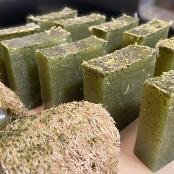 Cucumber Moringa Aloe Large Loaf Bar – Handmade with Helichrysum, Honey & Vitamin E | Refreshing Cucumber Melon Scent