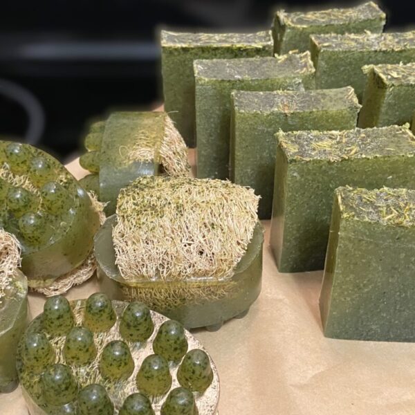 Cucumber Moringa Aloe Large Loaf Bar – Handmade with Helichrysum, Honey & Vitamin E | Refreshing Cucumber Melon Scent