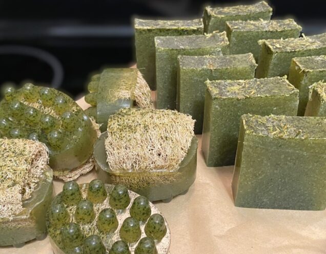 Cucumber, Moringa, and Aloe Soaps